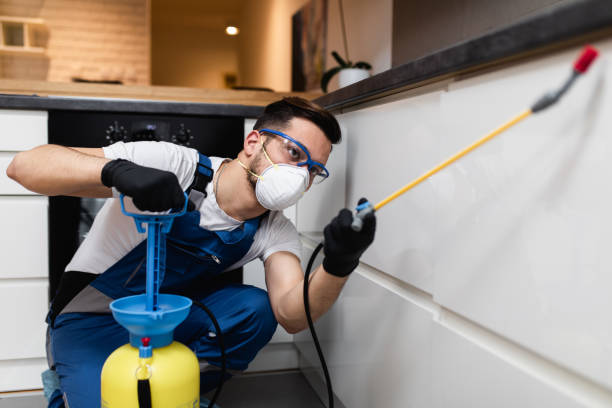 Best Pest Prevention Services  in Clifton Heights, PA