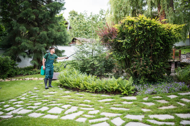 Best Exterminator Services  in Clifton Heights, PA